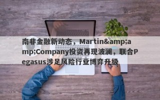 南非金融新动态，Martin&amp;Company投资再现波澜，联合Pegasus涉足风险行业博弈升级