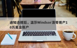 通知违规后，温莎Windsor清零用户10万美金账户