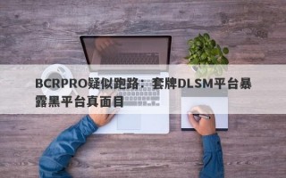 BCRPRO疑似跑路：套牌DLSM平台暴露黑平台真面目