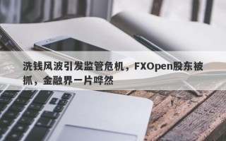 洗钱风波引发监管危机，FXOpen股东被抓，金融界一片哗然