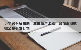 小非农不及预期，金价应声上涨！警惕近期数据公布引发行情