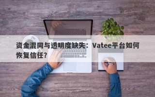 资金混同与透明度缺失：Vatee平台如何恢复信任？