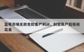 蓝莓市场无故克扣客户利润，封禁账户后拒绝出金