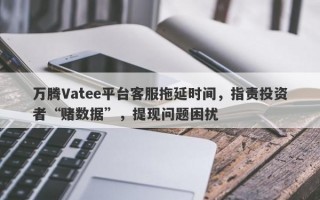 万腾Vatee平台客服拖延时间，指责投资者“赌数据”，提现问题困扰