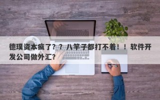 德璞资本疯了？？八竿子都打不着！！软件开发公司做外汇？