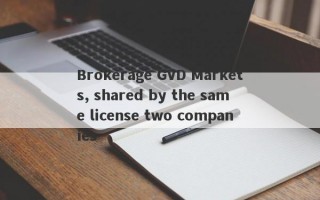 Brokerage GVD Markets, shared by the same license two companies