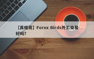 【真相哥】Forex Birds外汇交易好吗？
