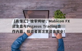 【真懂汇】独家揭秘，Mabicon FX资金盘与Pegasus Trading合作内幕，投资者需注意资金安全！