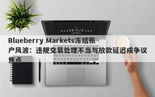 Blueberry Markets冻结账户风波：违规交易处理不当与放款延迟成争议焦点