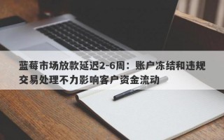 蓝莓市场放款延迟2-6周：账户冻结和违规交易处理不力影响客户资金流动