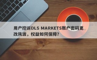 用户控诉DLS MARKETS账户密码更改风波，权益如何保障？