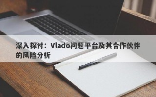 深入探讨：Vlado问题平台及其合作伙伴的风险分析