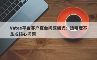 Vatee平台客户资金问题曝光：透明度不足成核心问题