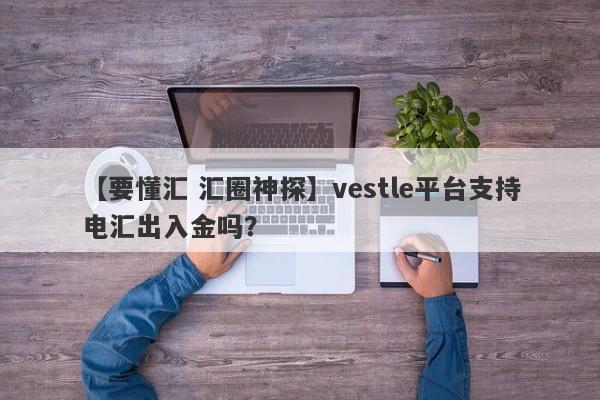 【要懂汇 汇圈神探】vestle平台支持电汇出入金吗？
-第1张图片-要懂汇圈网