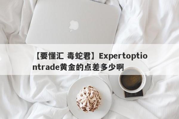 【要懂汇 毒蛇君】Expertoptiontrade黄金的点差多少啊
-第1张图片-要懂汇圈网