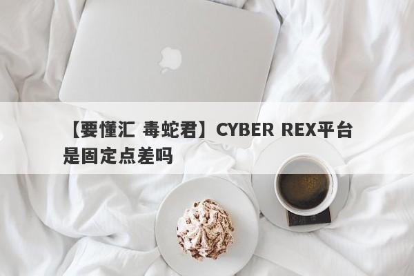 【要懂汇 毒蛇君】CYBER REX平台是固定点差吗
-第1张图片-要懂汇圈网