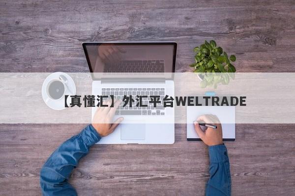 【真懂汇】外汇平台WELTRADE
-第1张图片-要懂汇圈网