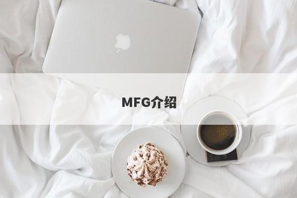 MFG介绍-第1张图片-要懂汇圈网