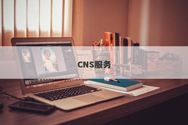 CNS服务-第1张图片-要懂汇圈网