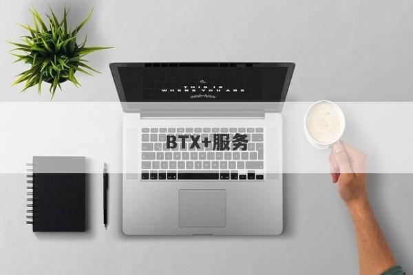 BTX+服务-第1张图片-要懂汇圈网