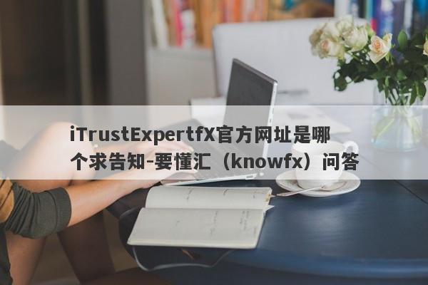 iTrustExpertfX官方网址是哪个求告知-要懂汇（knowfx）问答-第1张图片-要懂汇圈网