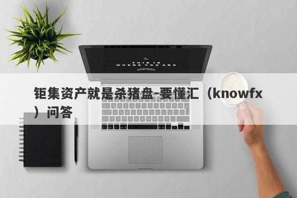 钜集资产就是杀猪盘-要懂汇（knowfx）问答-第1张图片-要懂汇圈网