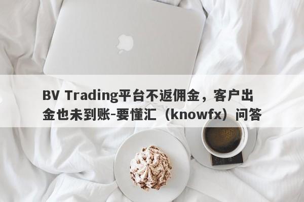 BV Trading平台不返佣金，客户出金也未到账-要懂汇（knowfx）问答-第1张图片-要懂汇圈网