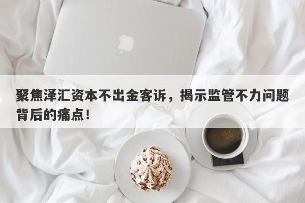 聚焦泽汇资本不出金客诉，揭示监管不力问题背后的痛点！-第1张图片-要懂汇圈网