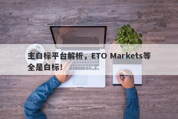 主白标平台解析，ETO Markets等全是白标！-第1张图片-要懂汇圈网