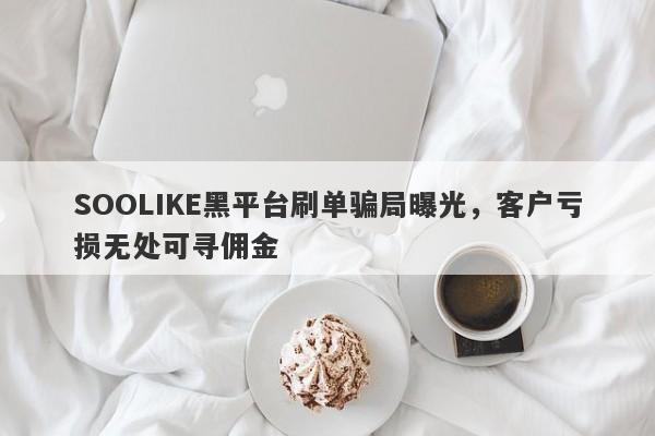 SOOLIKE黑平台刷单骗局曝光，客户亏损无处可寻佣金-第1张图片-要懂汇圈网