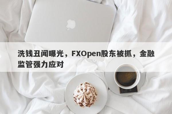 洗钱丑闻曝光，FXOpen股东被抓，金融监管强力应对-第1张图片-要懂汇圈网