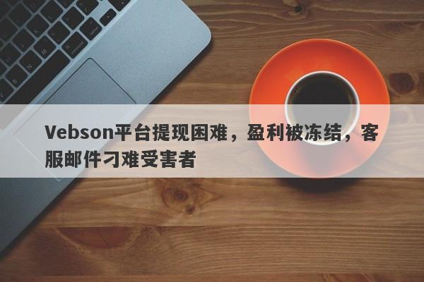 Vebson平台提现困难，盈利被冻结，客服邮件刁难受害者-第1张图片-要懂汇圈网