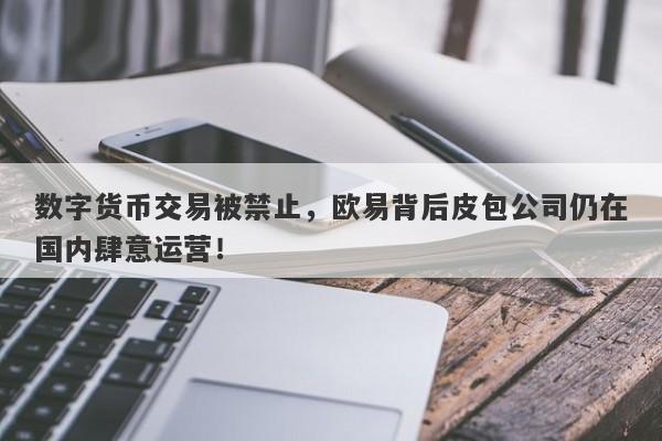 数字货币交易被禁止，欧易背后皮包公司仍在国内肆意运营！-第1张图片-要懂汇圈网