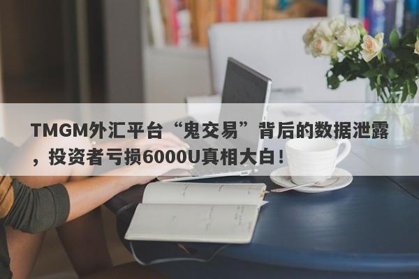 TMGM外汇平台“鬼交易”背后的数据泄露，投资者亏损6000U真相大白！-第1张图片-要懂汇圈网